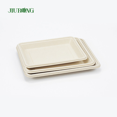 Piatto da portata per fast food in bagassa biodegradabile in PLA