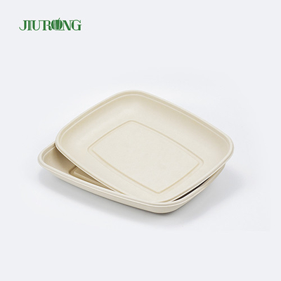 Vassoio per alimenti compostabile ecologico Piatto di canna da zucchero biodegradabile per sushi