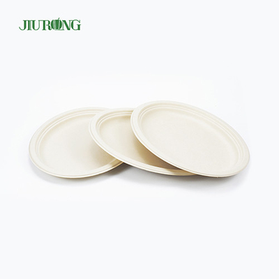 Contenitore per alimenti impermeabile con canna da zucchero da 7 pollici e 23 cm di diametro per sandwich con biscotti