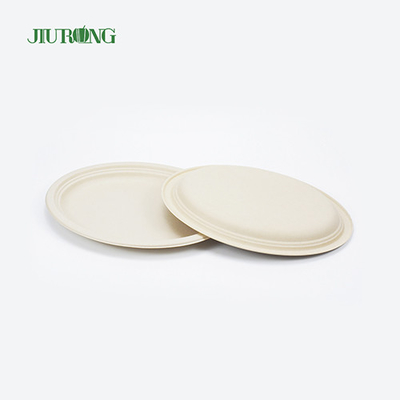 Contenitore per alimenti impermeabile con canna da zucchero da 7 pollici e 23 cm di diametro per sandwich con biscotti
