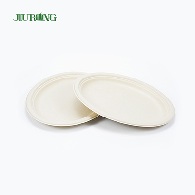 Contenitore per alimenti impermeabile con canna da zucchero da 7 pollici e 23 cm di diametro per sandwich con biscotti