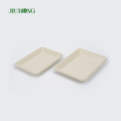 Piatti quadrati monouso in canna da zucchero biodegradabili 160mm per Hamburger Bread