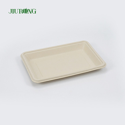 Piatti quadrati monouso in canna da zucchero biodegradabili 160mm per Hamburger Bread