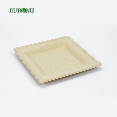 Contenitore per alimenti monouso ecologico con canna da zucchero Vassoio per sushi in bagassa biodegradabile